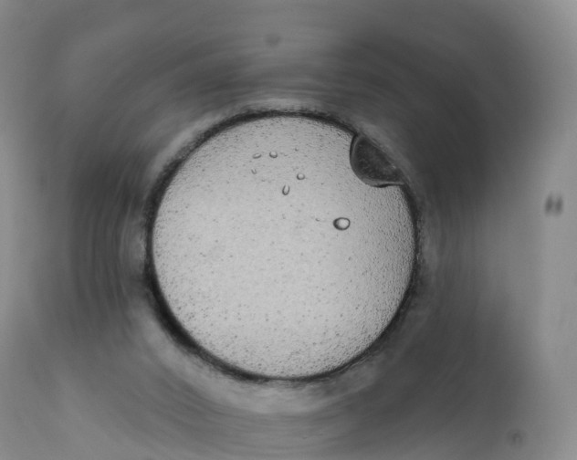 X0000111830016200908131557