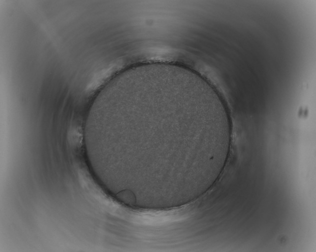 X0000111830017200908131557