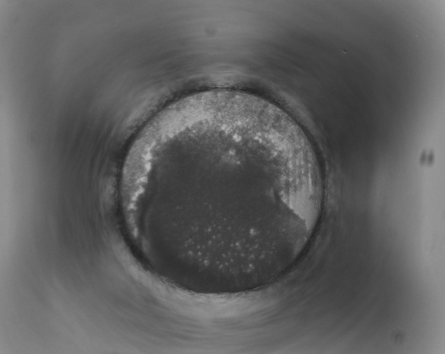 X0000111830018200908131557