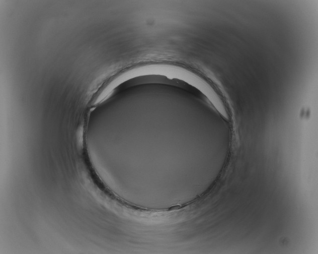 X0000111830019200908131557