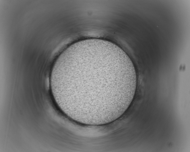 X0000111830020200908131557