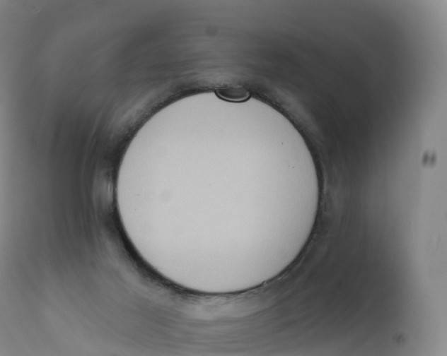 X0000111830021200908131557