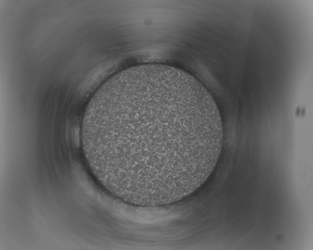 X0000111830022200908131557