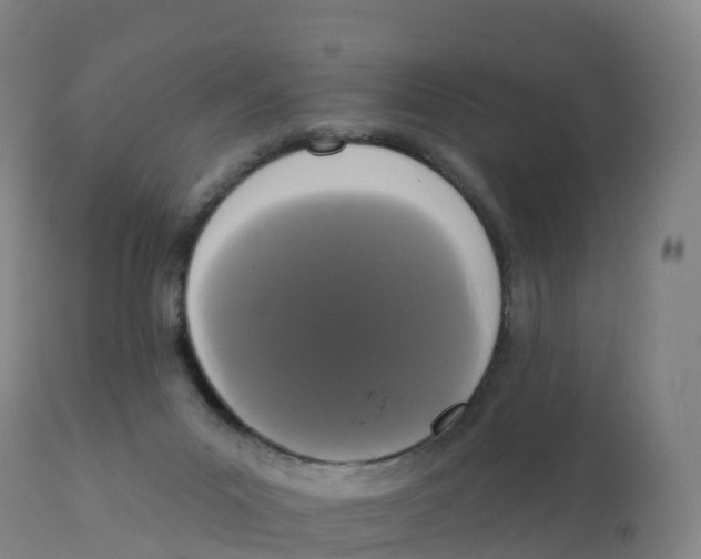 X0000111830023200908131557