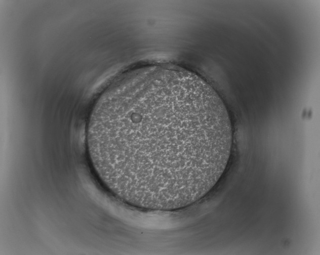 X0000111830024200908131557