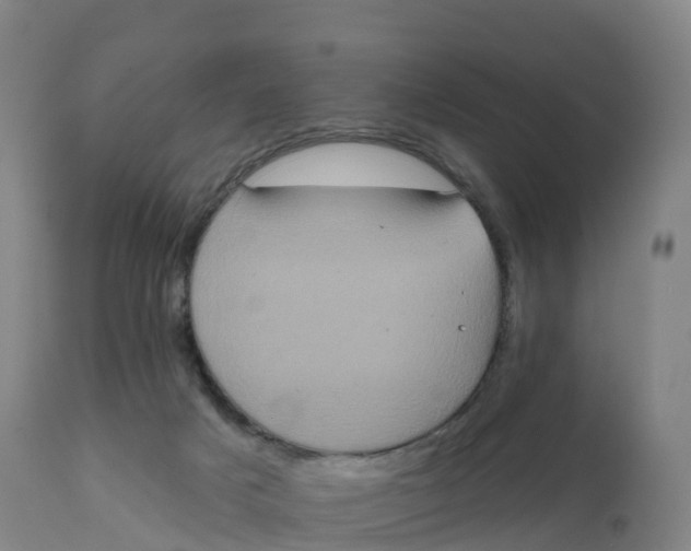 X0000111830025200908131557