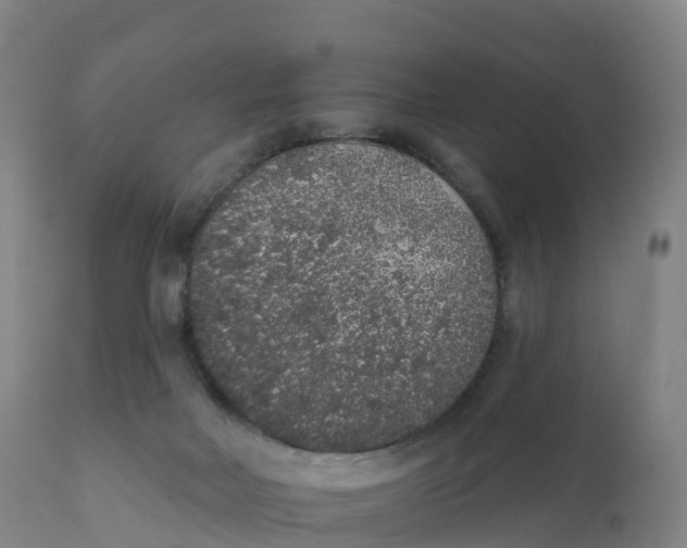 X0000111830026200908131557