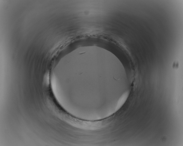 X0000111830027200908131557