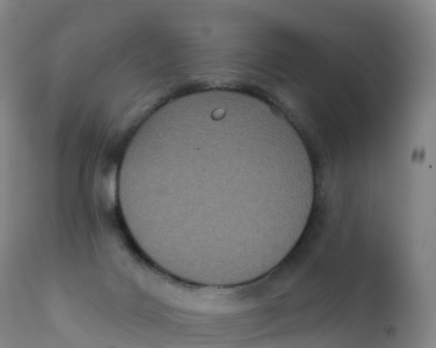 X0000111830028200908131557