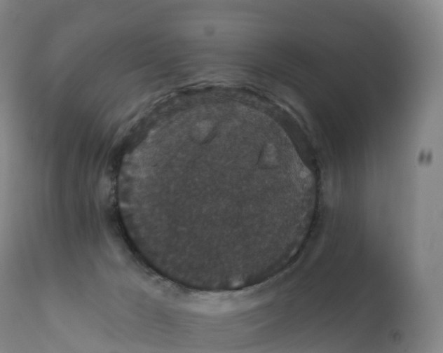 X0000111830029200908131557