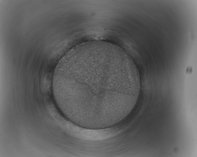 X0000111830030200908131557