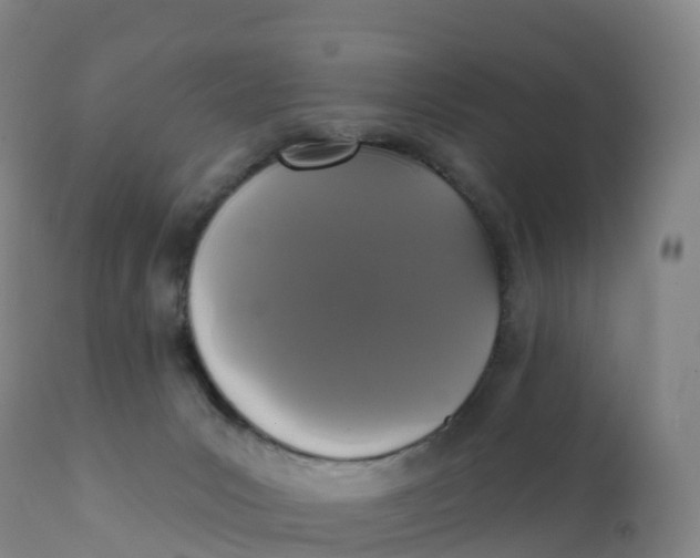 X0000111830031200908131557