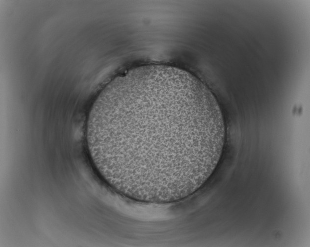 X0000111830032200908131557