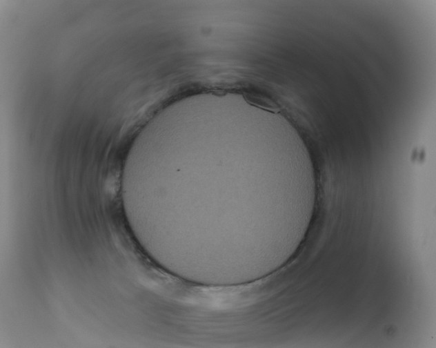 X0000111830033200908131557