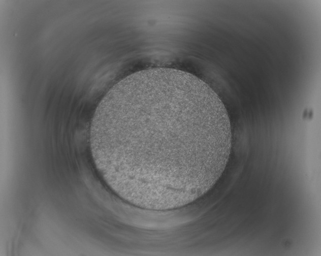 X0000111830034200908131557