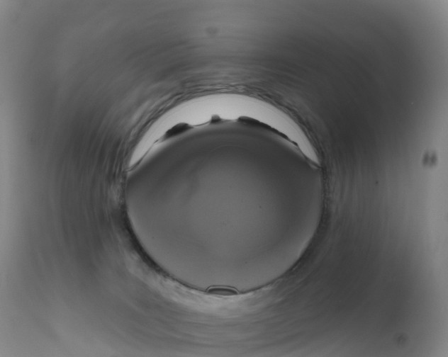 X0000111830035200908131557