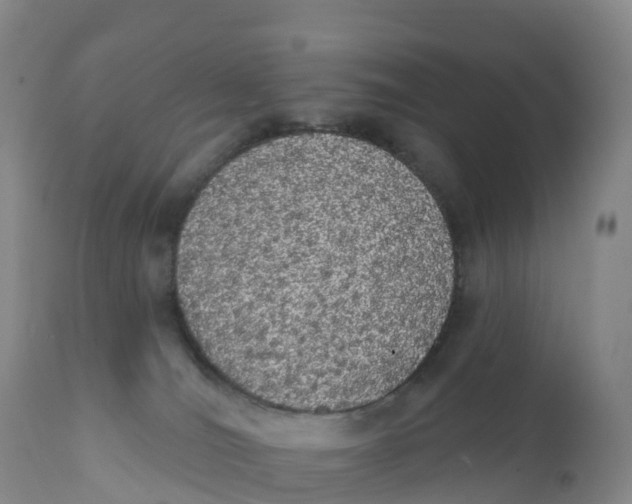 X0000111830036200908131557