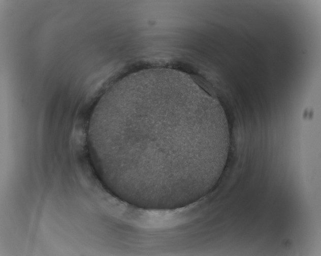 X0000111830037200908131557