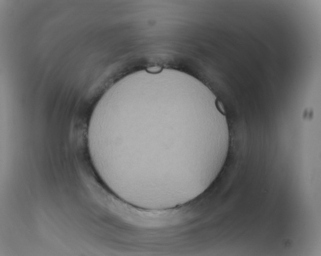 X0000111830038200908131557