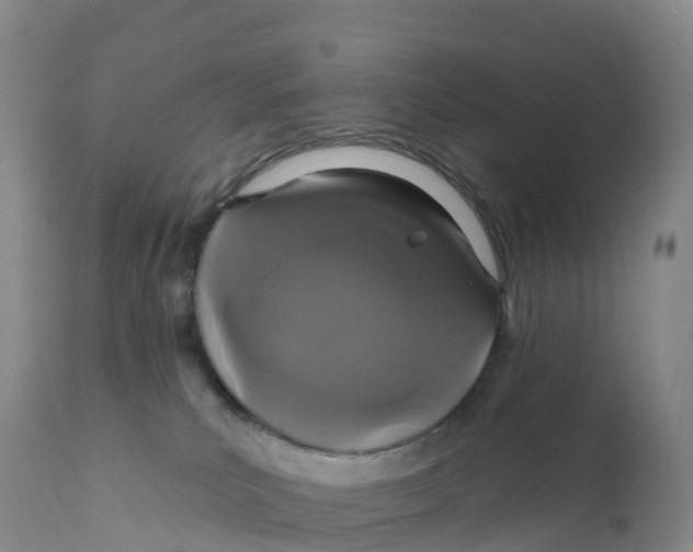 X0000111830039200908131557