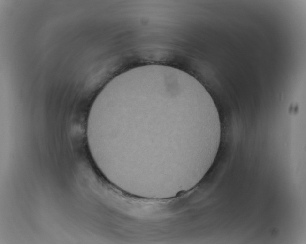 X0000111830040200908131557