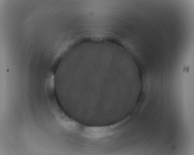 X0000111830041200908131557