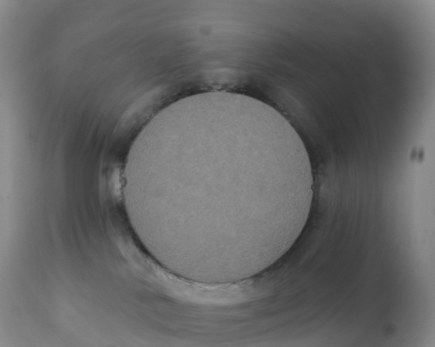 X0000111830042200908131557