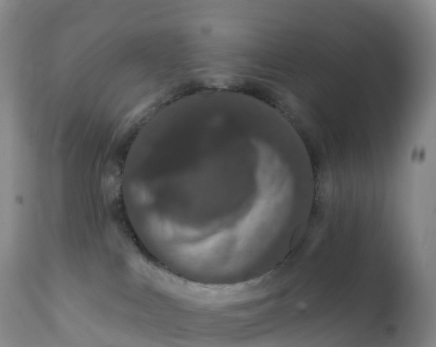 X0000111830043200908131557