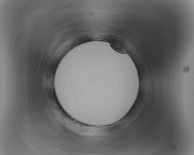 X0000111830044200908131557