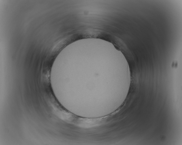 X0000111830045200908131557