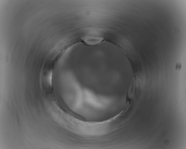 X0000111830047200908131557