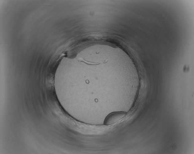 X0000111830048200908131557