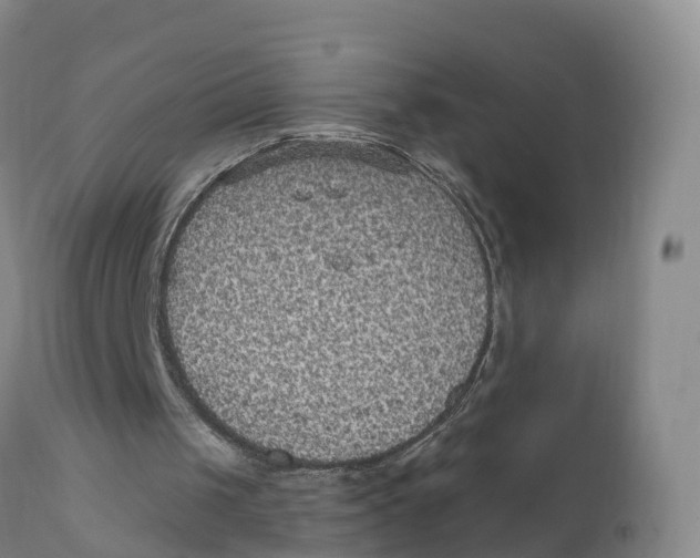 X0000111830049200908131556