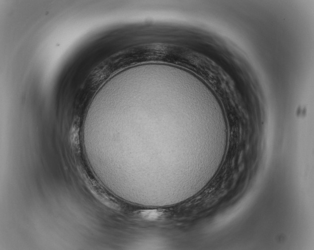 X0000111830050200908131556