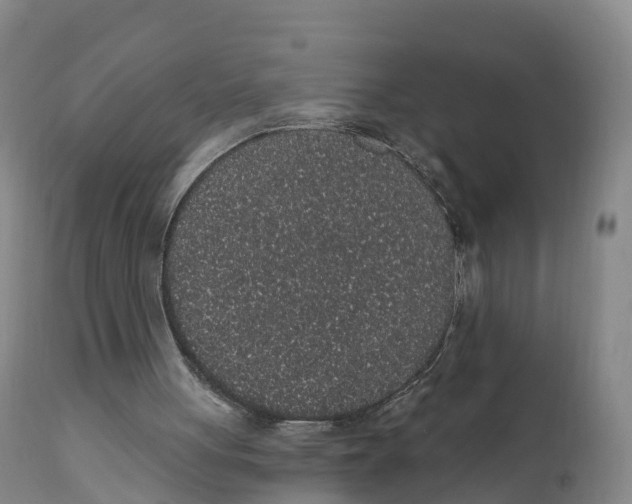 X0000111830051200908131556