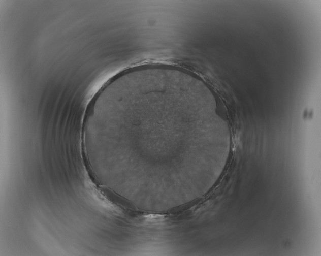 X0000111830052200908131556