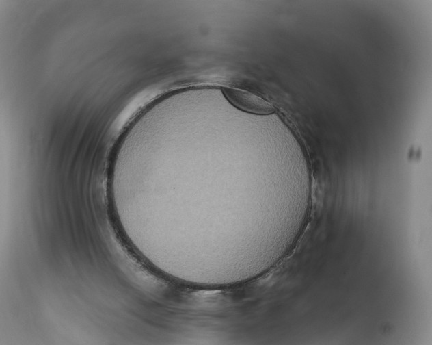 X0000111830054200908131556