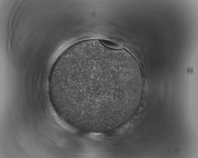 X0000111830055200908131556