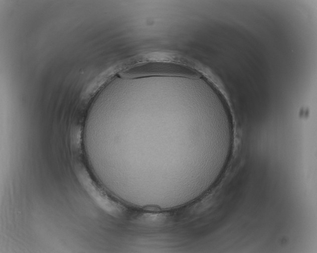 X0000111830057200908131556