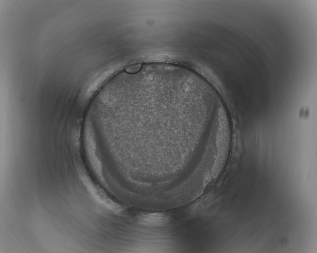 X0000111830058200908131556