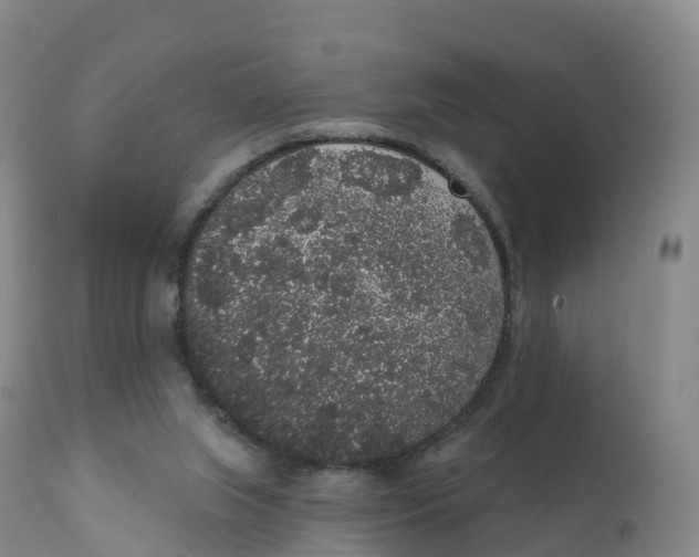 X0000111830063200908131556