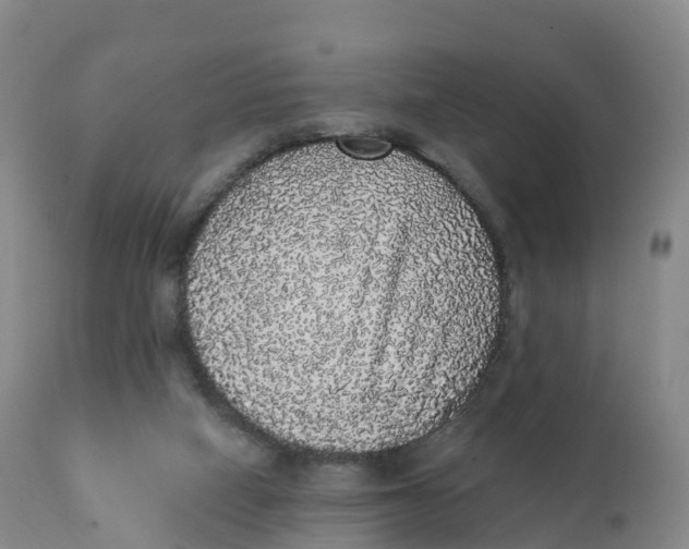 X0000111830066200908131556