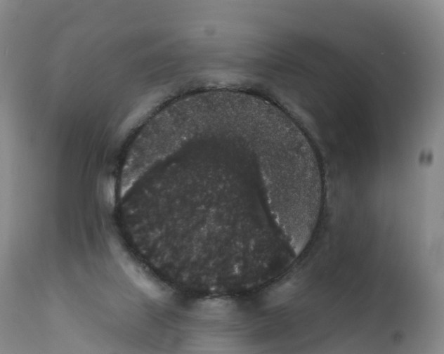 X0000111830067200908131556