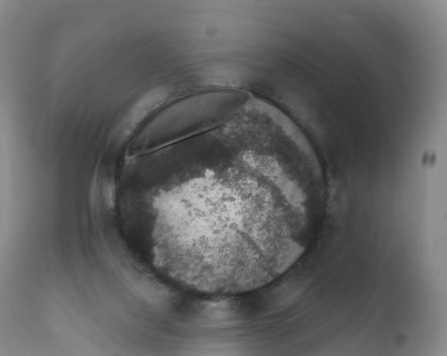 X0000111830068200908131556