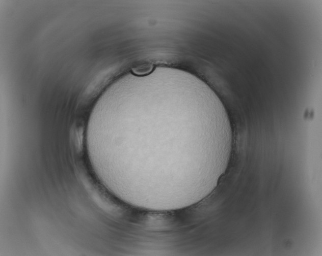 X0000111830070200908131556