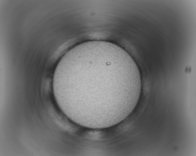 X0000111830071200908131556