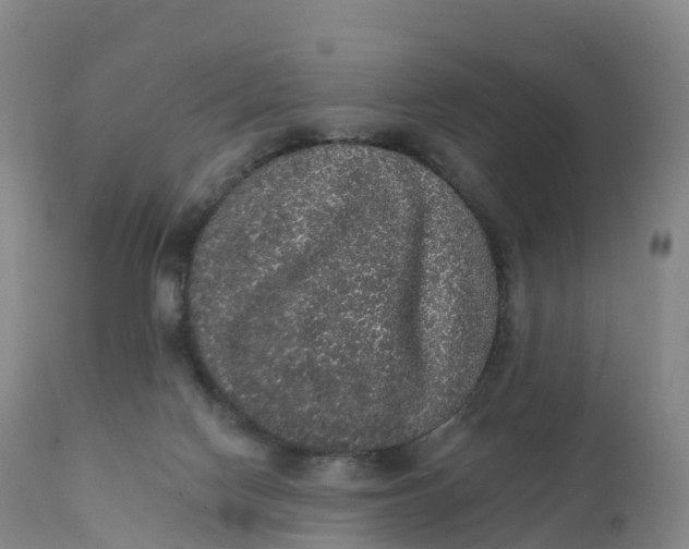 X0000111830074200908131556