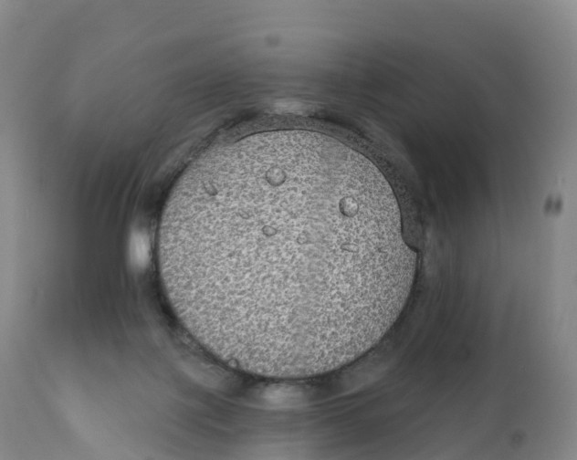 X0000111830075200908131556