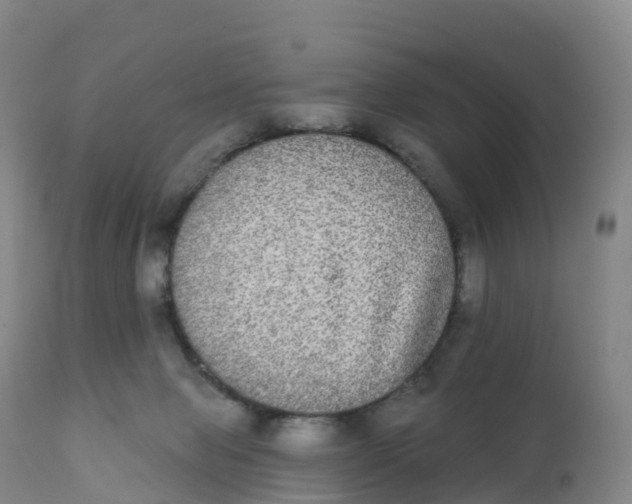 X0000111830077200908131556