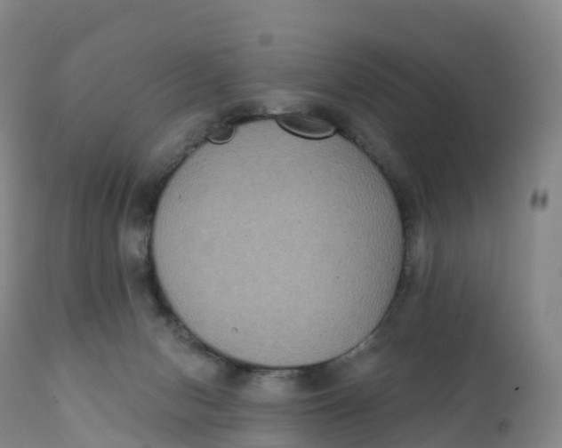 X0000111830078200908131556